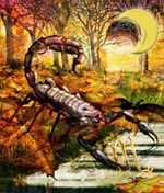 maan-schorpioen