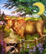 maan-stier